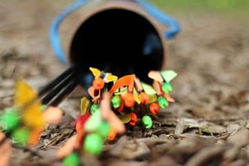 archery arrows photo