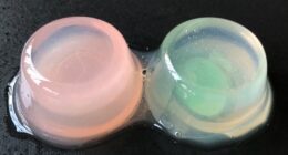 comparing plant and animal gels