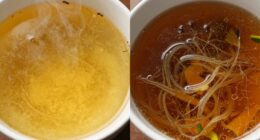 comparison of stock and broth