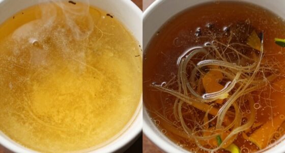 comparison of stock and broth
