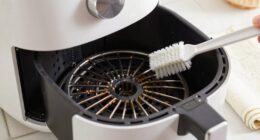 gentle heating element cleaning