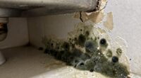 prevent moisture mold growth