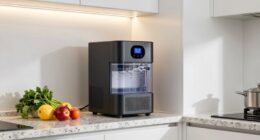 top kitchen dehumidifier picks