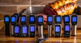 top wireless roast thermometers