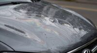 cooking oil residue buildup