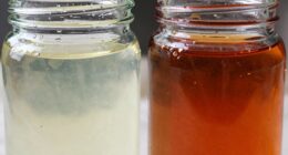 hydration comparison 60 versus 75