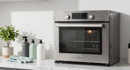 safe non toxic oven cleaning