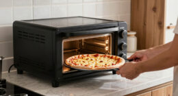 10 Best Electric Pizza Ovens in 2026