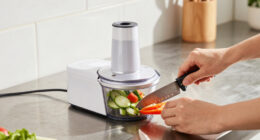 13 Best Compact Electric Food Choppers in 2026