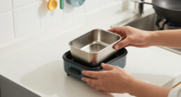 14 Best Compact Electric Lunch Boxes in 2026