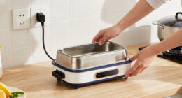 14 Best Electric Lunch Box Heaters in 2026