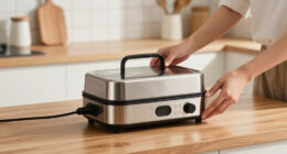 15 Best Electric Lunch Box Warmers in 2026