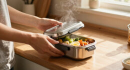 Best Compact Electric Lunch Boxes Compared