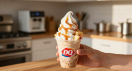 Dairy Queen Caramel Apple Blizzard
