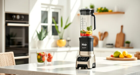 Ninja Blast Portable Blender: The Summer On-The-Go Blender You Need