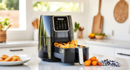 Summer Care Tips for Ninja Crispi Pro Glass Air Fryer