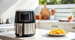 Summer Care Tips for Your Ninja Air Fryer 4 Qt