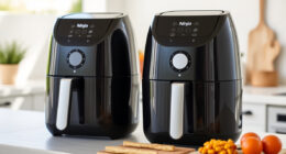 Summer Care Tips for Your Ninja Air Fryer (Ninja Air Fryers)