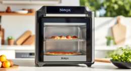 Summer Care & Troubleshooting Guide for Ninja Foodi XL Pro Air Oven
